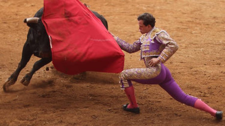Mexico City Prohibits Violent Bullfighting