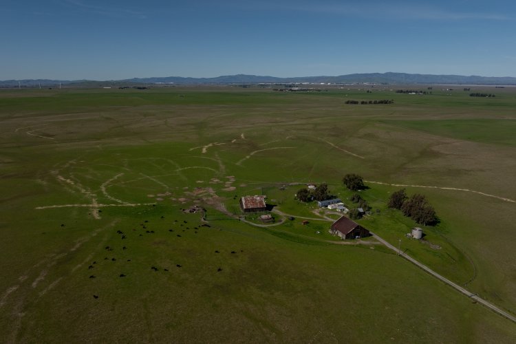 Discover the Czech Millennial Creating a Utopia in California's Hayfields