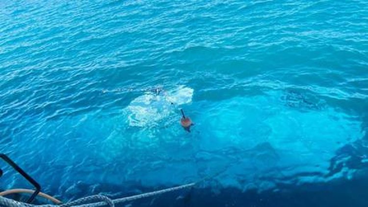 Submarine Sinking in Egypt Results in Deaths of Russian Tourists