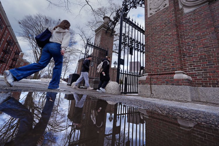 I Support Campus Diversity, Which Led Me to Oppose Affirmative Action. -- Editorial