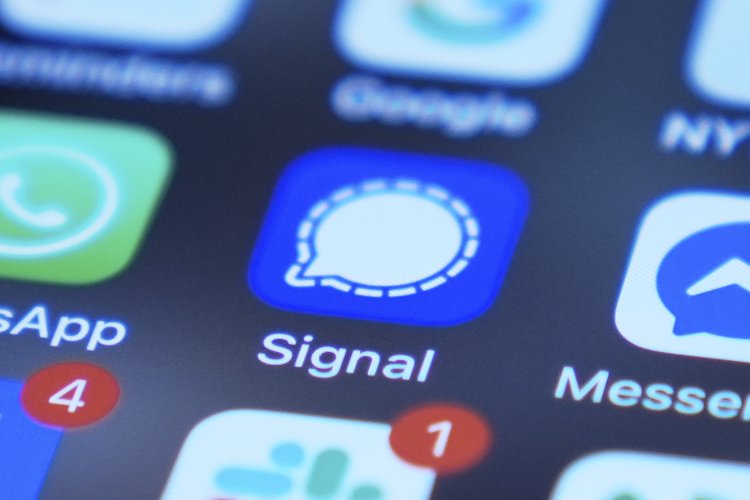Exploring the Confusing and Fragmented Landscape of Signal Adoption within the Government