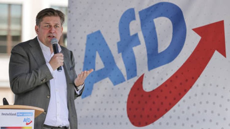 German priest dismisses altar boy for taking photo with AfD politician