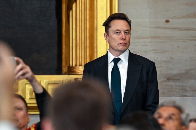 Musk's Mockery of Navarro Reveals Further Division Within Trump's Coalition