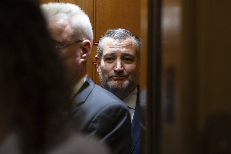 Ted Cruz Distances Himself from Trump, Looks Toward His Political Future