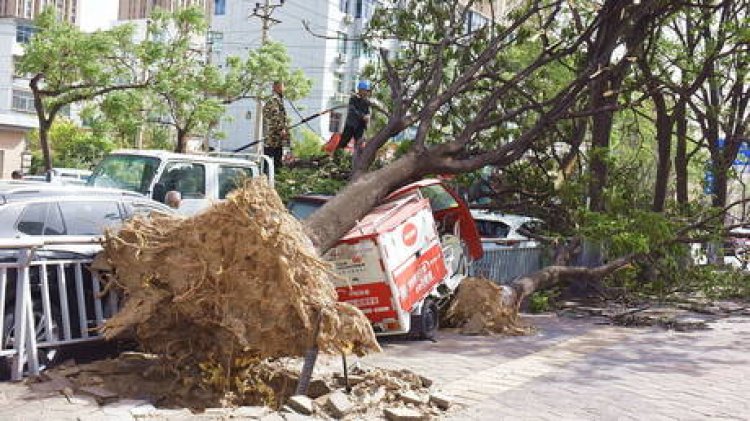 Chinese under 50kg Advised to Remain Indoors to Prevent Being ‘blown away’