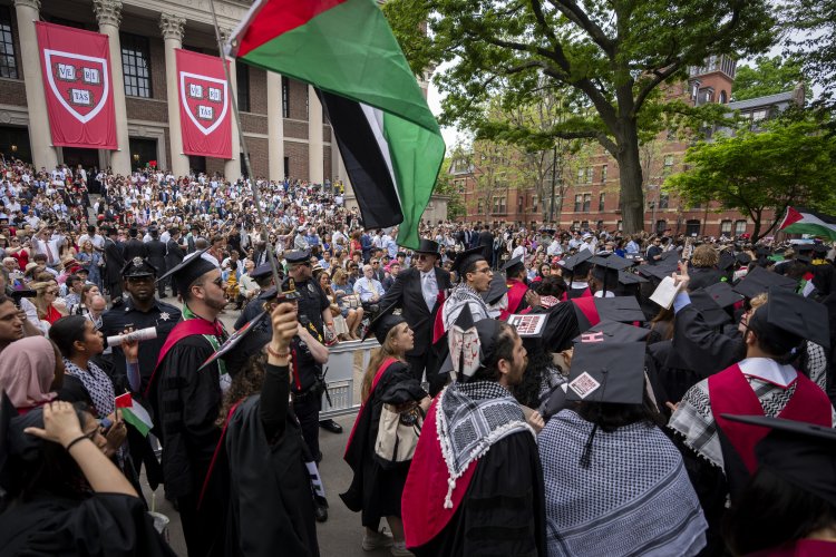 Why Harvard Maintains Its Stance Against Trump