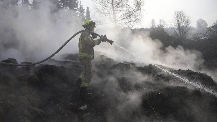 Wildfires in Israel Prompt Evacuations, Road Closures During Memorial Day