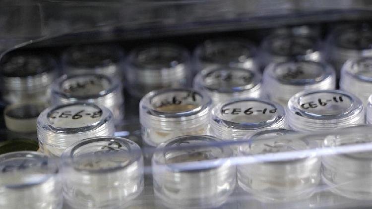 China gives access to lunar samples to U.S. and international researchers
